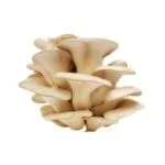 11-r3gw4gia26j8q8xh1tgbajovvozyqob3ggx859wek8-1-150x150